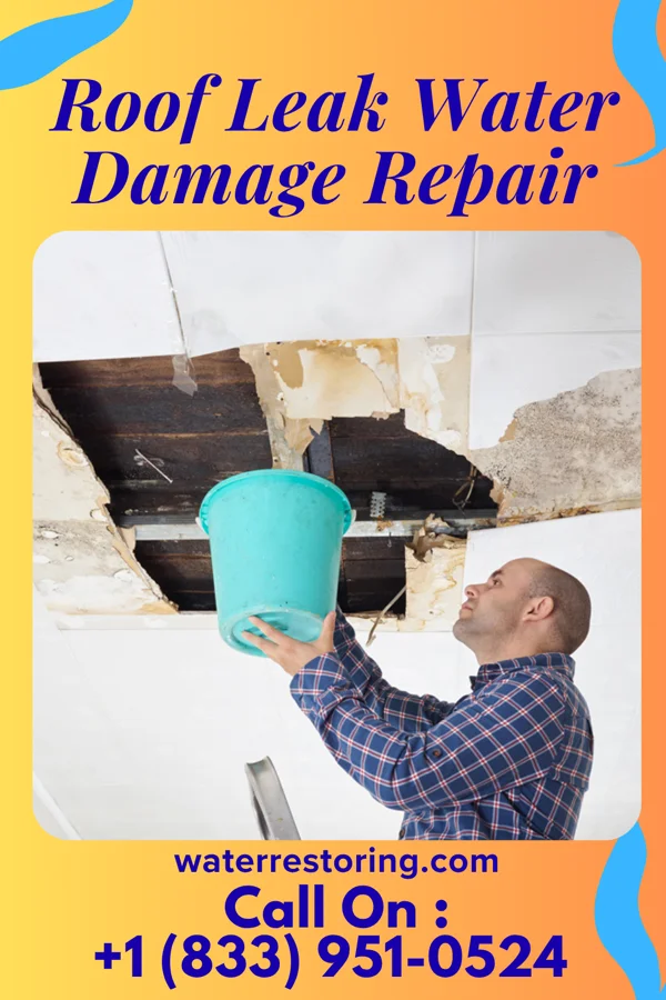 Roof Leak Water Damage Repair in Tehuacana, TX